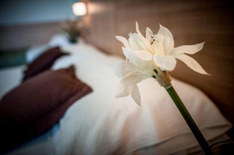Hotel Amalfi - Smart Hotel Riccione Esterno foto